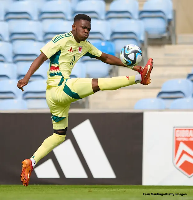 Rangers - the transfer market